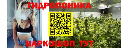 прущие крисы Кунгур