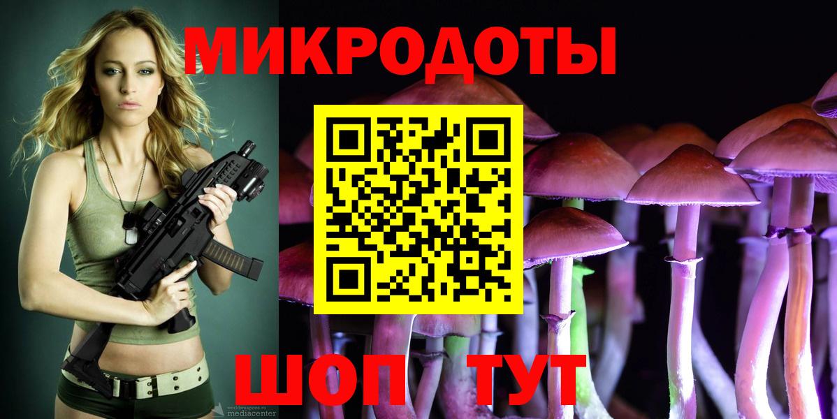 Псилоцибиновые грибы Psilocybe Черняховск