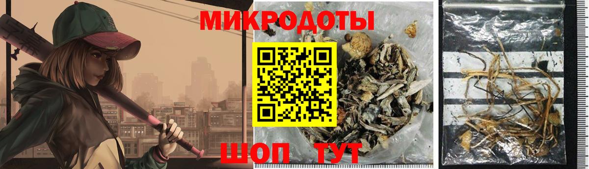 Псилоцибиновые грибы Psilocybine cubensis  Галлюциногенные грибы Cubensis  Вход с VPN  Черняховск 