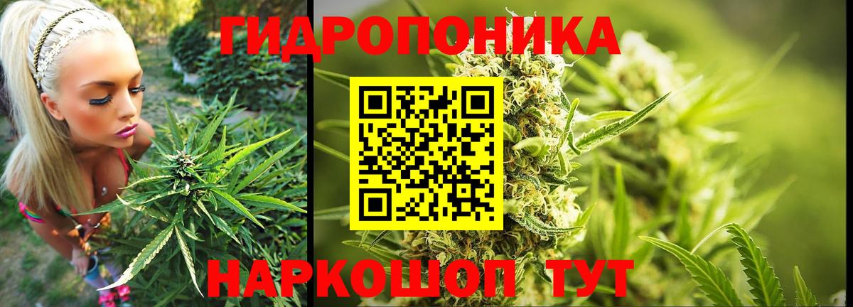Канабис Bruce Banner Черняховск